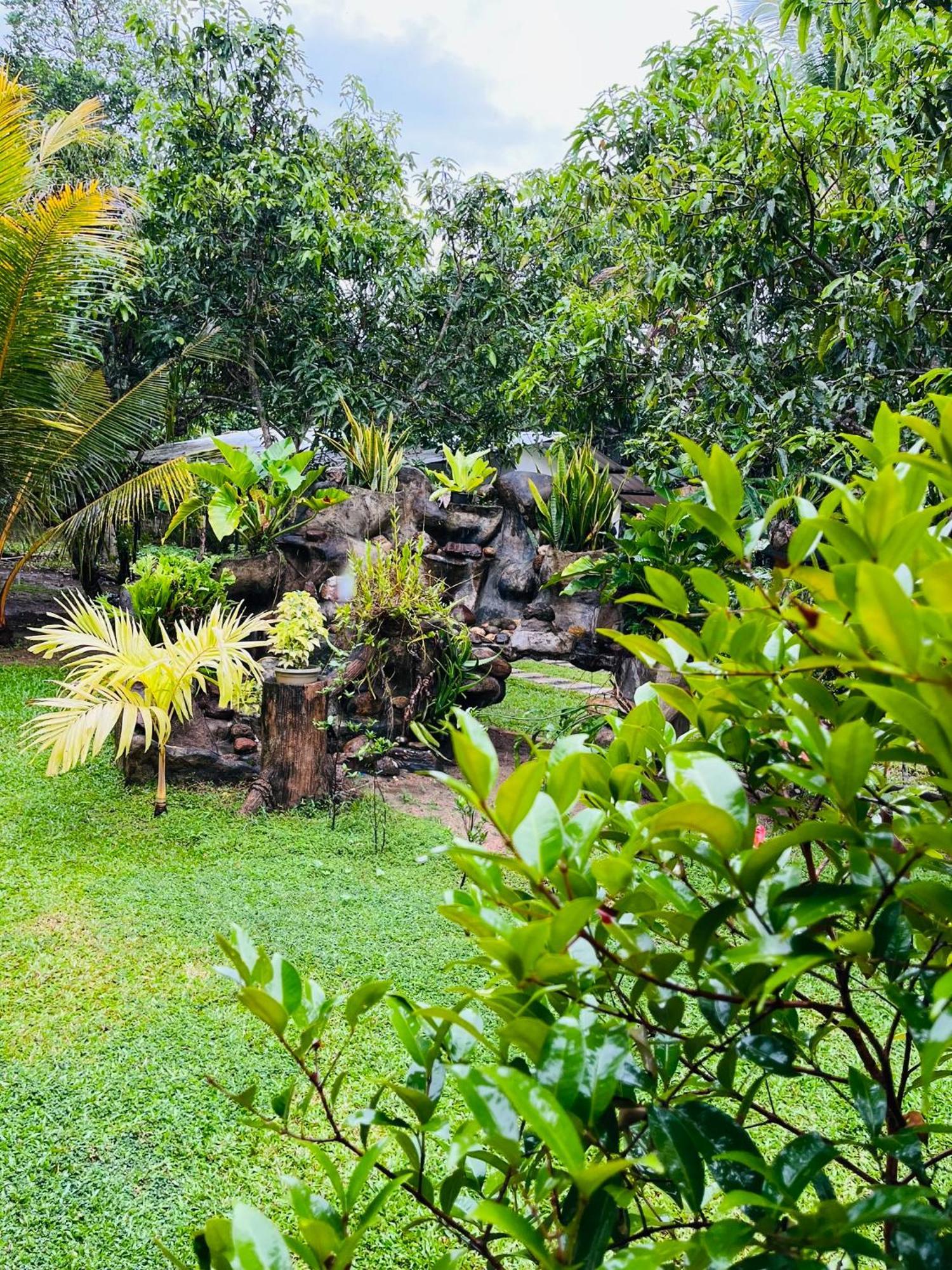 Villa Green Space Matara Exteriér fotografie
