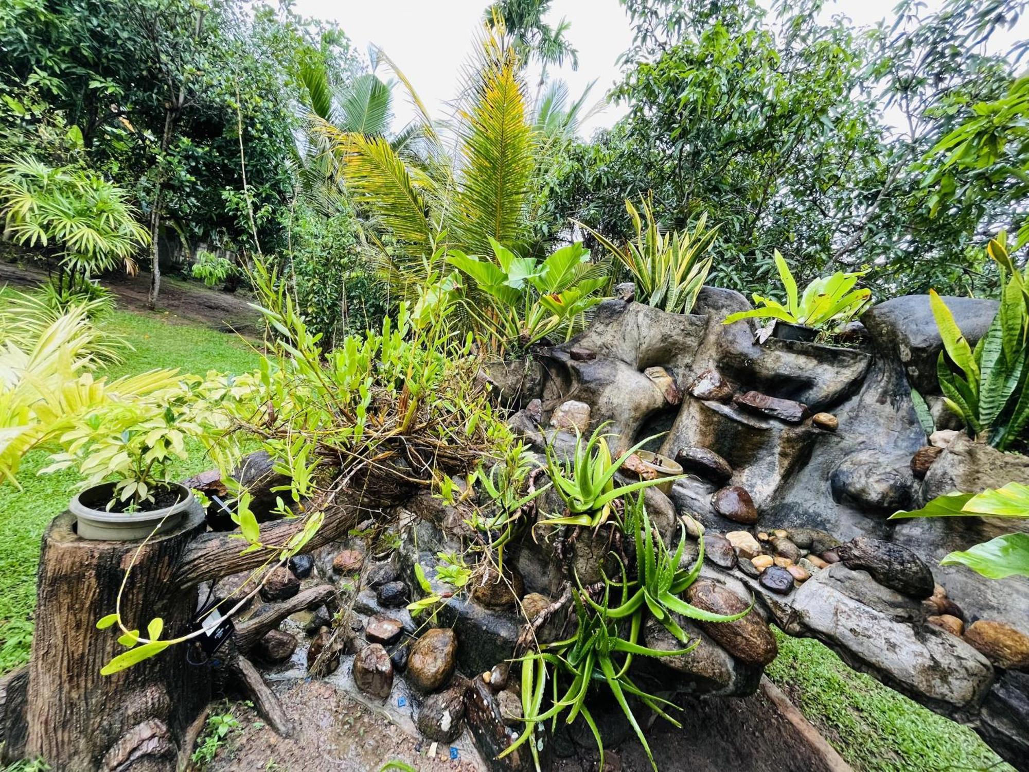 Villa Green Space Matara Exteriér fotografie