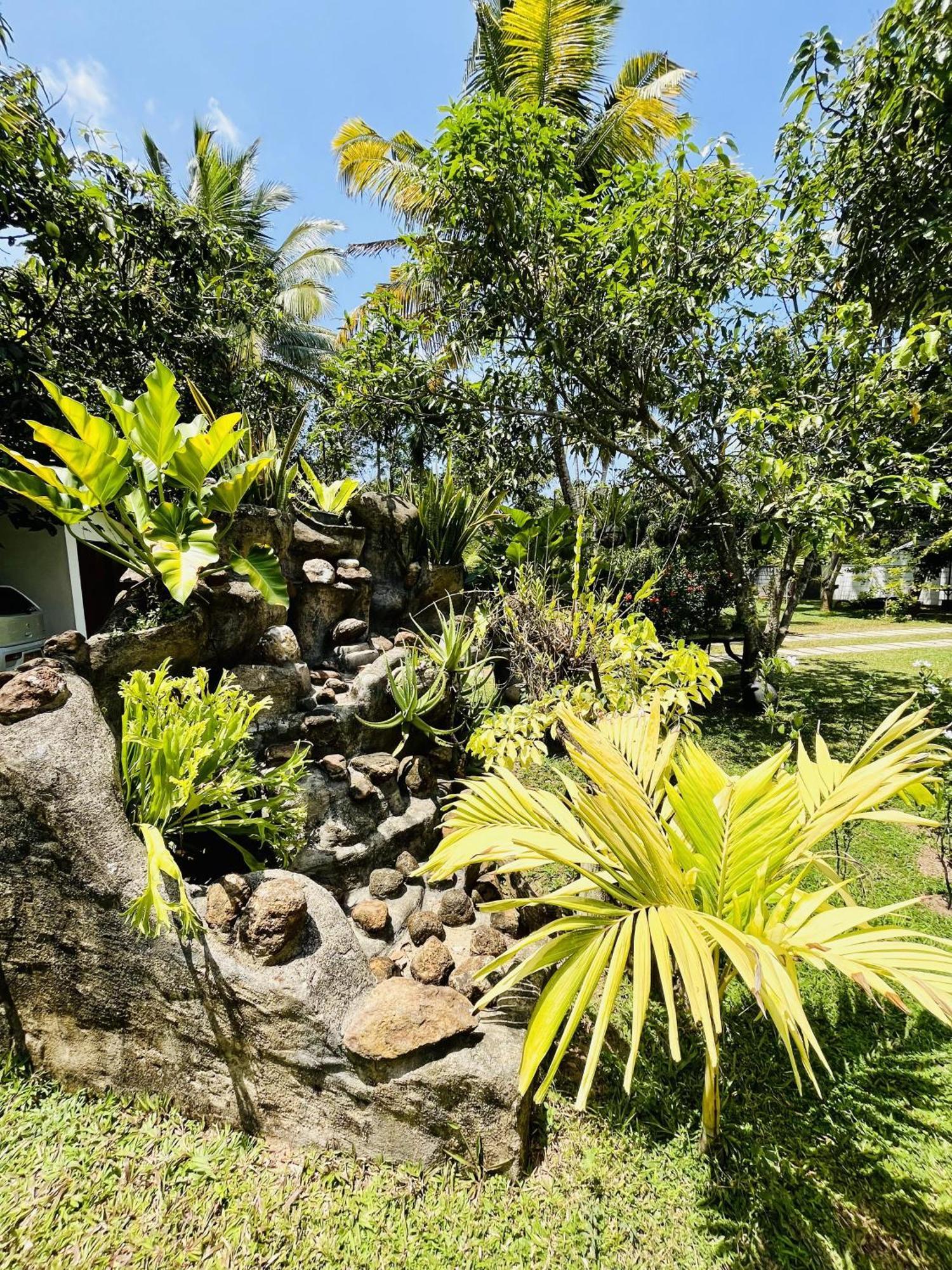 Villa Green Space Matara Exteriér fotografie